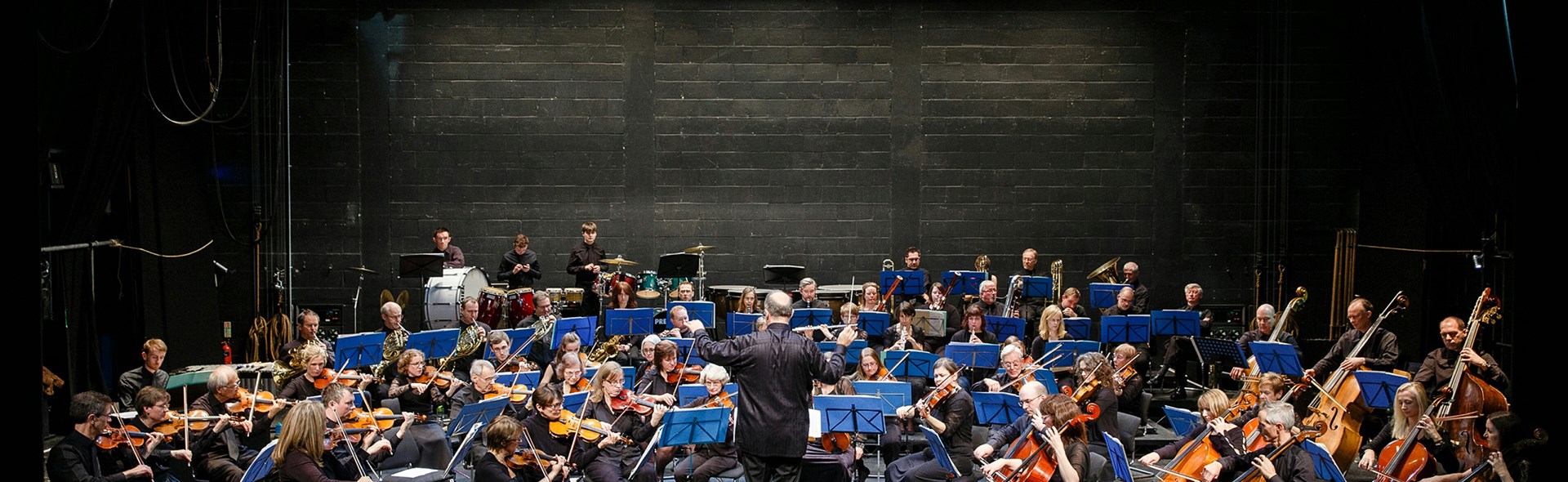 Horsham Symphony Orchestra 2017