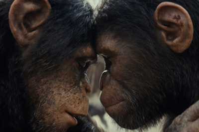 Event: Kingdom Of The Planet Of The Apes