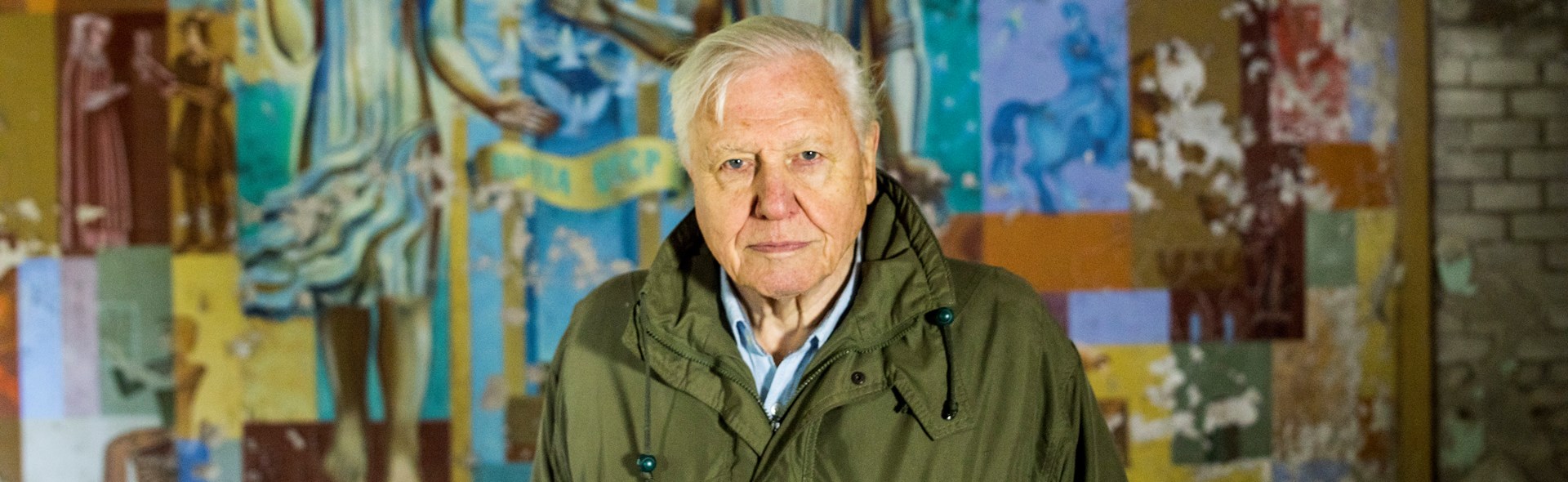 David Attenborough: A Life on Our Planet - Live From the World Premiere