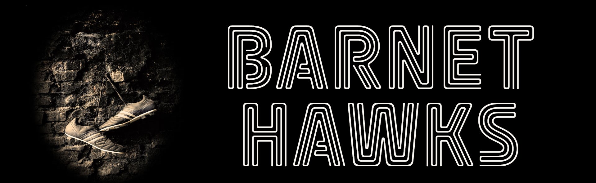 Ariel Theatre Company Presents: Barnet Hawks
